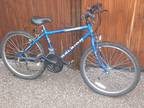 Raleigh Accender Boys 15 Speed Mountain Bike Used Vgc